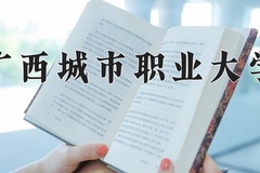 广西城市职业大学2024年录取分数线，广东录取最低分463