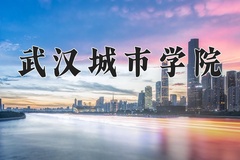 武汉城市学院2024年录取分数线，广东录取最低分0