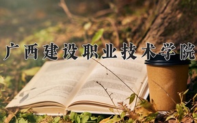 广西建设职业技术学院2024年录取分数线，广东录取最低分361