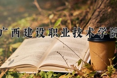 广西建设职业技术学院2024年录取分数线，广东录取最低分361