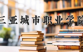 三亚城市职业学院2024年录取分数线，广东录取最低分258