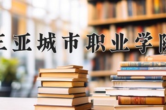 三亚城市职业学院2024年录取分数线，广东录取最低分258