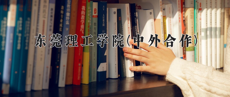 2024年东莞理工学院(中外合作)在福建计划招生人数（附学费及专业录取分)