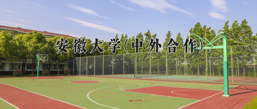 2024年安徽大学(中外合作)在福建计划招生人数（附学费及专业录取分)