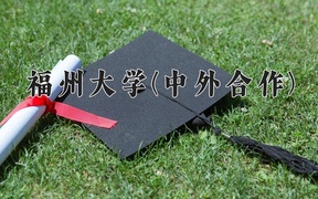 2024年福州大学(中外合作)在福建计划招生人数（附学费及专业录取分)