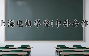 2024年上海电机学院(中外合作)在福建计划招生人数（附学费及专业录取分)