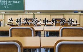 2024年兰州大学(中外合作)在福建计划招生人数（附学费及专业录取分)