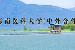 2024年海南医科大学(中外合作)在福建计划招生人数（附学费及专业录取分)