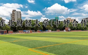 2024年东北财经大学(中外合作)在福建计划招生人数（附学费及专业录取分)