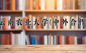 2024年云南农业大学(中外合作)在福建计划招生人数（附学费及专业录取分)