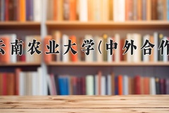 2024年云南农业大学(中外合作)在福建计划招生人数（附学费及专业录取分)