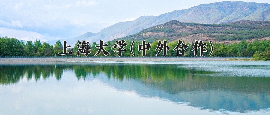 2024年上海大学(中外合作)在福建计划招生人数（附学费及专业录取分)