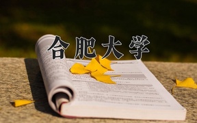 2024年合肥大学在福建计划招生人数（附学费及专业录取分)