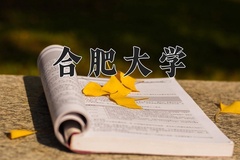 2024年合肥大学在福建计划招生人数（附学费及专业录取分)