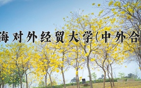 2024年上海对外经贸大学(中外合作)在福建计划招生人数（附学费及专业录取分)