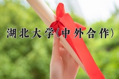 2024年湖北大学(中外合作)在福建计划招生人数（附学费及专业录取分)