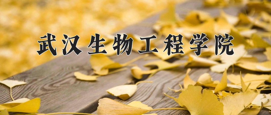 2024年武汉生物工程学院在福建计划招生人数（附学费及专业录取分)