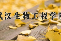 2024年武汉生物工程学院在福建计划招生人数（附学费及专业录取分)