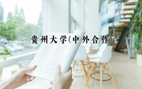 2024年贵州大学(中外合作)在福建计划招生人数（附学费及专业录取分)