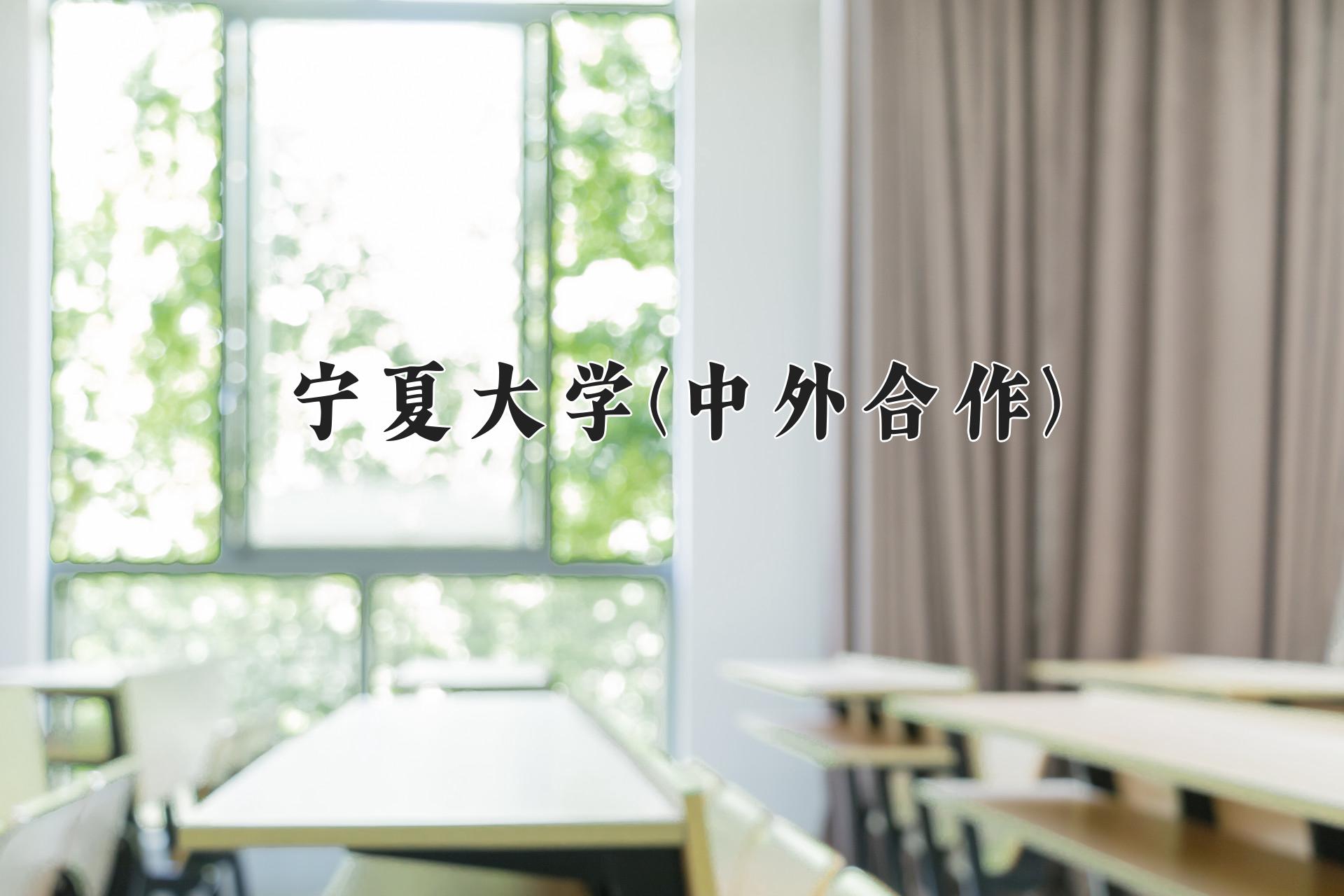 2024年宁夏大学(中外合作)在福建计划招生人数（附学费及专业录取分)