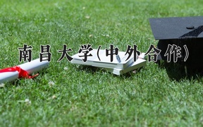 2024年南昌大学(中外合作)在福建计划招生人数（附学费及专业录取分)
