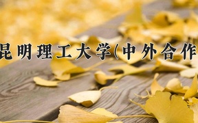 2024年昆明理工大学(中外合作)在福建计划招生人数（附学费及专业录取分)