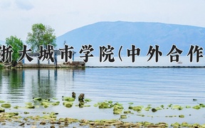2024年浙大城市学院(中外合作)在福建计划招生人数（附学费及专业录取分)
