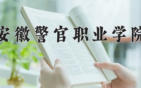 2024年安徽警官职业学院录取分数线，新疆最低221分