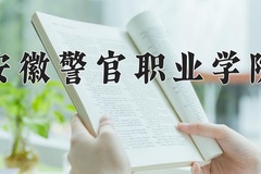 2024年安徽警官职业学院录取分数线，新疆最低221分