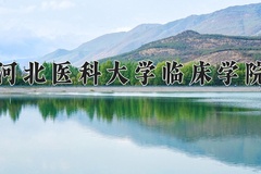 2024年河北医科大学临床学院录取分数线，新疆最低375分