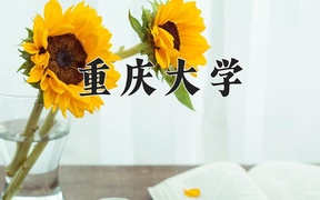 2024年重庆大学录取分数线，新疆最低542分