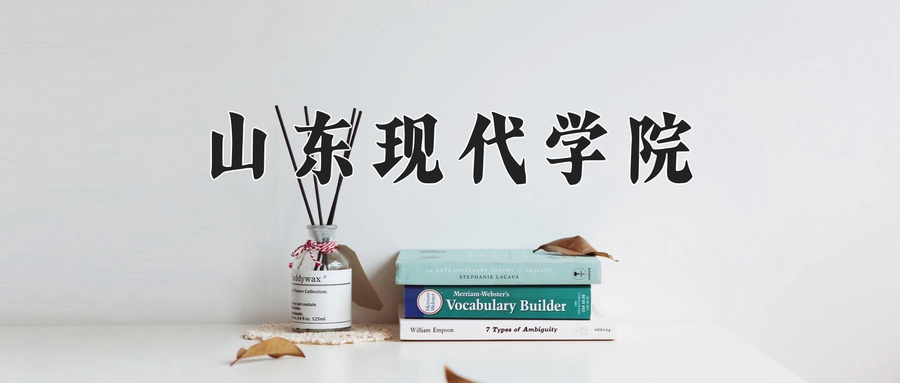 山东现代学院