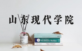 2024年山东现代学院录取分数线，新疆最低280分