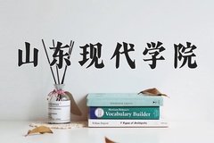 2024年山东现代学院录取分数线，新疆最低280分