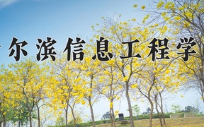 2024年哈尔滨信息工程学院录取分数线，新疆最低265分