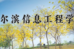 2024年哈尔滨信息工程学院录取分数线，新疆最低265分