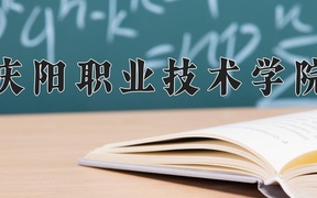 2024年庆阳职业技术学院录取分数线，新疆最低140分