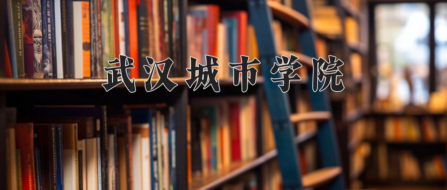 武汉城市学院