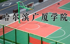 2024年哈尔滨广厦学院录取分数线，新疆最低262分