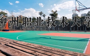 2024年柳州职业技术大学录取分数线，新疆最低244分