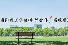 2024年南阳理工学院(中外合作、高收费)录取分数线，新疆最低296分