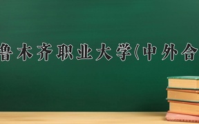 2024年乌鲁木齐职业大学(中外合作)录取分数线，新疆最低148分
