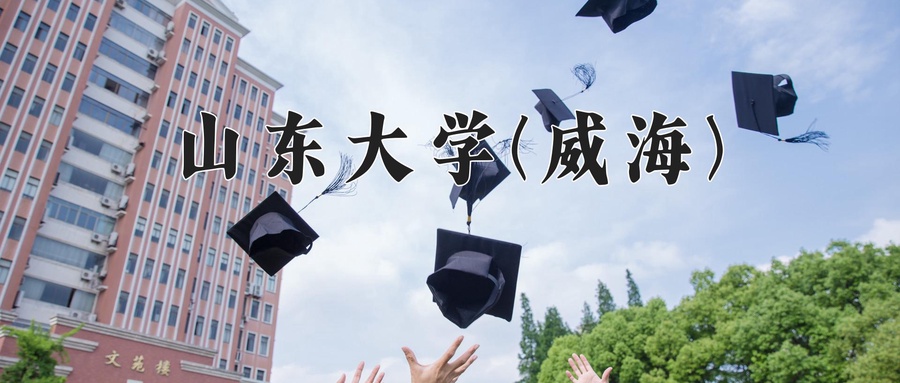 山东大学(威海)