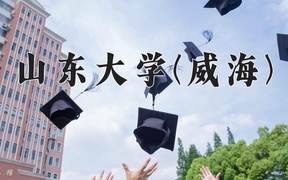 2024年山东大学(威海)录取分数线，新疆最低530分