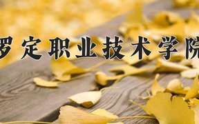 2024年罗定职业技术学院录取分数线，新疆最低215分