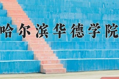 2024年哈尔滨华德学院录取分数线，新疆最低262分