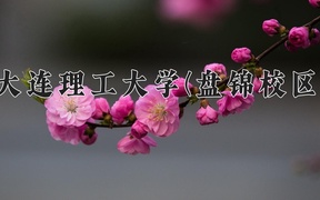2024年大连理工大学(盘锦校区)录取分数线，新疆最低517分