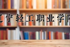 2024年辽宁轻工职业学院录取分数线，新疆最低170分