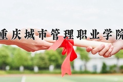 2024年重庆城市管理职业学院录取分数线，新疆最低271分