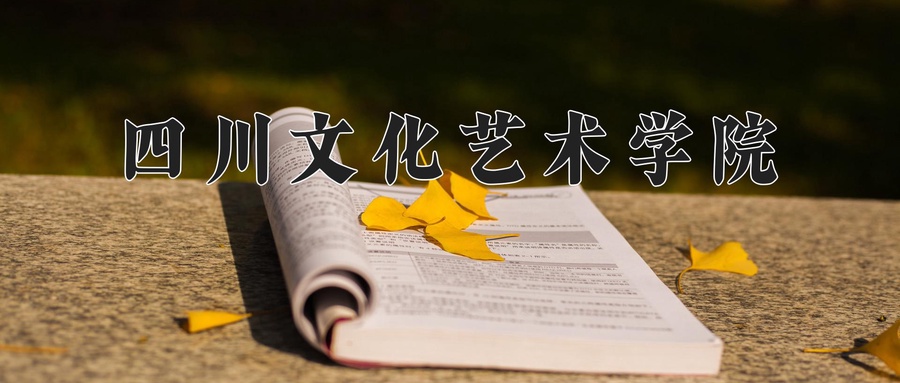 2025年陕西317分左右能报的大学名单-第1张图片-索考网